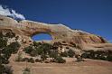 238 Wilson Arch